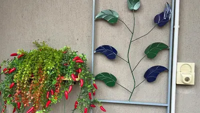 Giardino di DIP IN SICILY