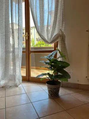 Planimetria di DIP IN SICILY