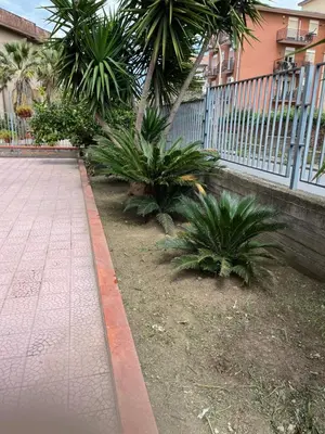 Giardino di DIP IN SICILY