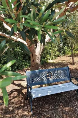 Giardino di Villa Leale