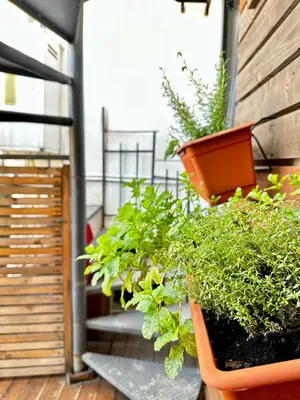 Giardino di MIMMO'S HOUSE 2