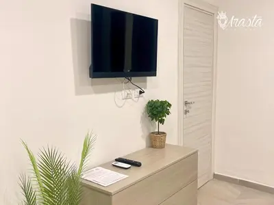 TV o dispositivi per l'intrattenimento presso Arasta Apartments