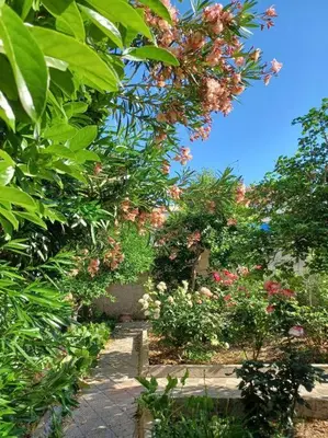 Giardino di Giardino al Corso