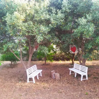 Giardino di Villa con Giardino di 2000mq al Plemmirio - 400m dal Mare