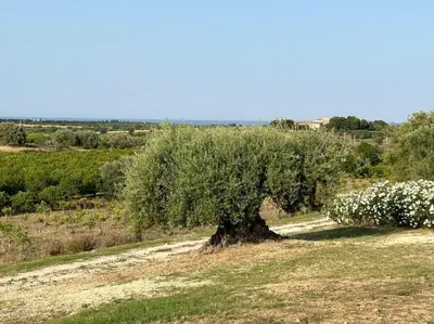 Paesaggio naturale nelle vicinanze della casa vacanze