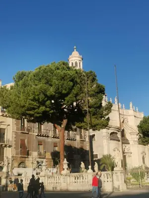 Planimetria di Trinity Apartment