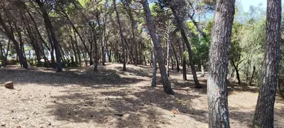 Paesaggio naturale nelle vicinanze della casa vacanze