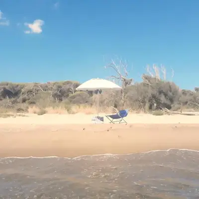 OASIS ESCAPE