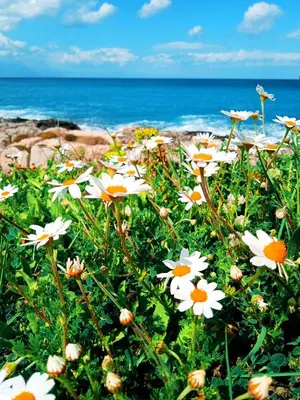 Paesaggio naturale nelle vicinanze del bed & breakfast