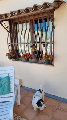Ospiti di Sicily Coast con animali domestici