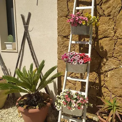 Giardino di Villa Marina