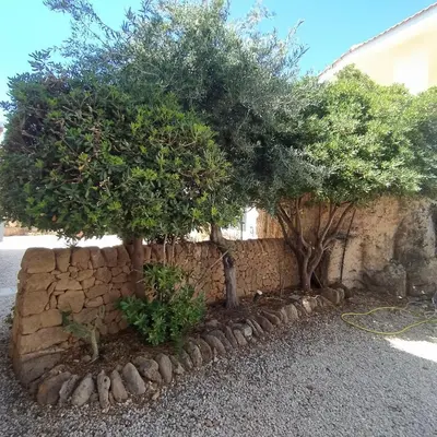 Giardino di Villa Marina