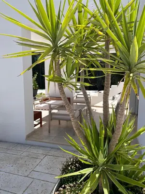 Giardino di Villa Eraklea