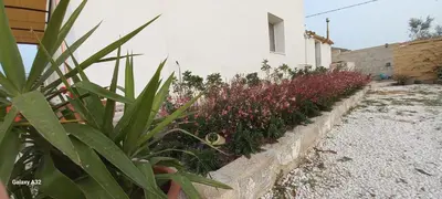 Planimetria di ALMADEMARI GIGLIO CASA VACANZA