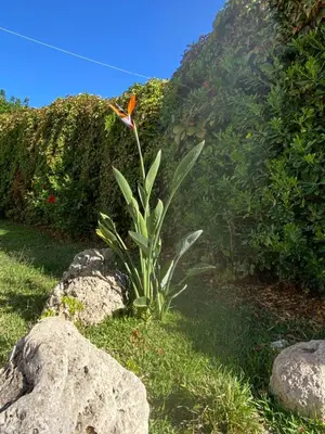 Paesaggio naturale nelle vicinanze della casa vacanze