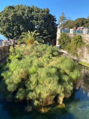 Paesaggio naturale nelle vicinanze della casa vacanze