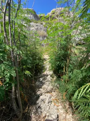 Paesaggio naturale nelle vicinanze dell'appartamento