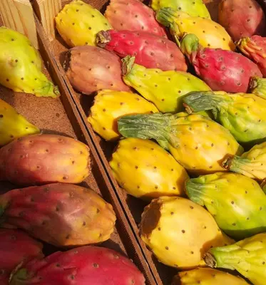 Cibo presso l'appartamento o nelle vicinanze