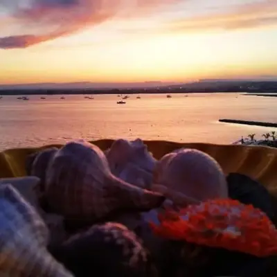 Terrazza sul mare attico 
