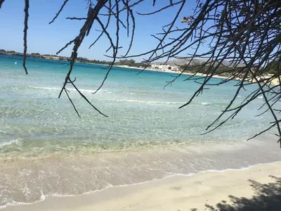 Paesaggio naturale nelle vicinanze dell'appartamento