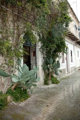 Edificio in cui si trova la casa vacanze