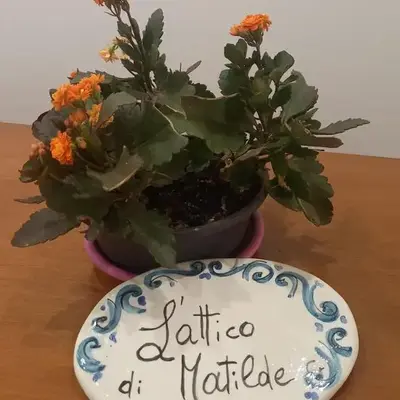 L'Attico di Matilde