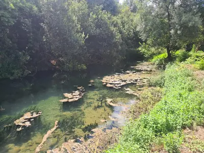 Paesaggio naturale nelle vicinanze della villa