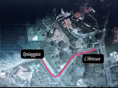 Planimetria di l'ibiscus
