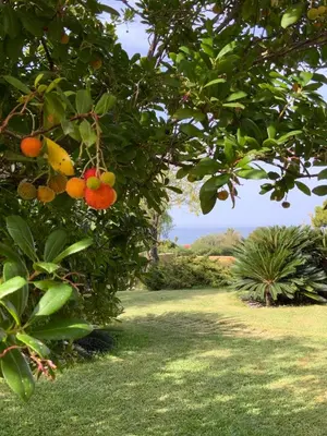 Giardino di Villa Magnolia