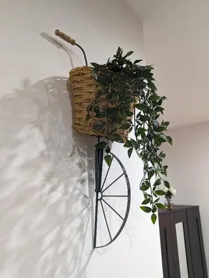 Planimetria di Amari home