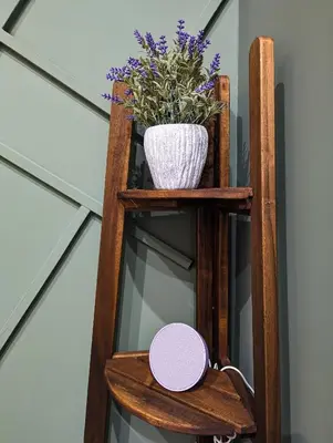 Planimetria di Amari home