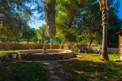 Giardino di Fattoria Terra e Libertà