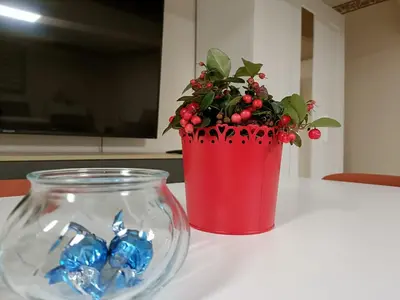 Planimetria di Casa dei Sofisti