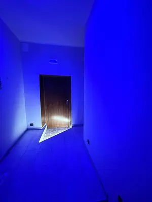 Planimetria di Harmony Home