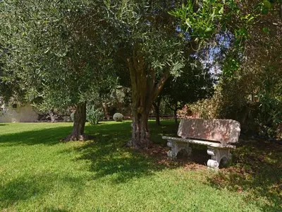 Giardino di Villa Sally by Interhome