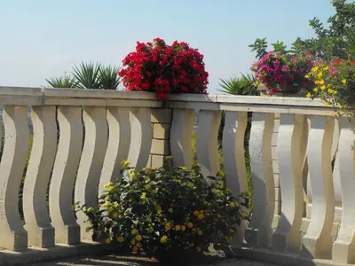 Balcone o terrazza di Agriturismoeloropizzuta