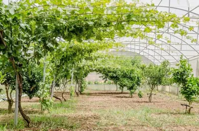 Giardino di Villa Dolce Valle