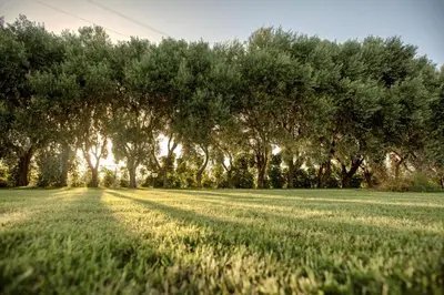 Paesaggio naturale nelle vicinanze dell'aparthotel