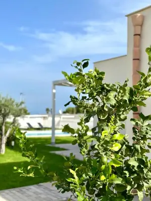 Giardino di Villa Zefiro tra Piscina e Mare