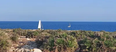 Paesaggio naturale nelle vicinanze della casa vacanze