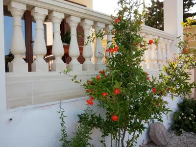 Giardino di La Casa dei Girasoli