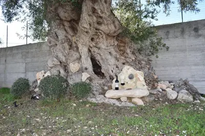 Giardino di I Secolari di Giulia