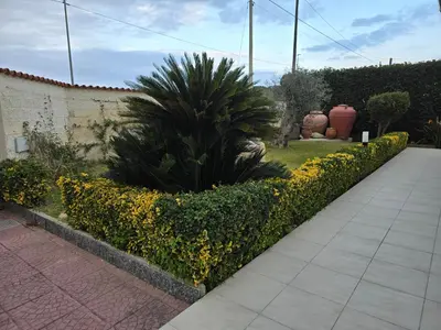 Giardino di Syracuse Blue Sea
