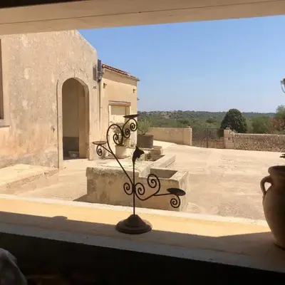 oliveraie de caractère
