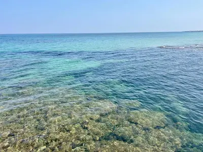 Paesaggio naturale nelle vicinanze dell'appartamento