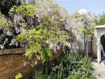Giardino di Holiday home Riserva Marina Protetta