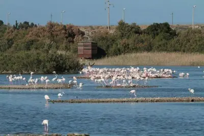 Paesaggio naturale nelle vicinanze dell'appartamento