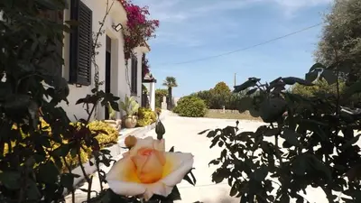 Giardino di BeB Nonno Baffo
