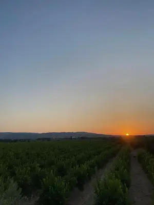 Alba o tramonto visti dall'interno della casa vacanze o dai dintorni