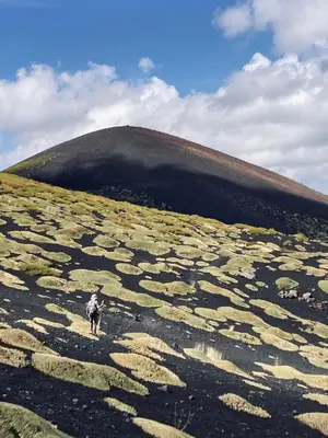 Paesaggio naturale nelle vicinanze della stanza in casa privata